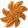LEGO Oranje Propellor 8 Lemmet 5 Diameter (41530 / 60591)