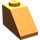 LEGO Orange Slope 1 x 2 (45°) (3040 / 6270)