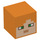 LEGO Oranje Vierkant Minifigure Hoofd met Alex Gezicht (24018 / 28280)
