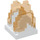 LEGO assiette 2 x 2 avec Marbled Transparent Orange Feu (41685)