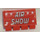 LEGO Red Hinge Tile 2 x 4 with Ribs with &#039;AIR SHOW&#039; Sticker (2873)