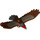 LEGO Reddish Brown Eagle with Red Head (79792)