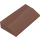LEGO Brun rougeâtre Pente 2 x 4 Incurvé sans tubes internes (61068)