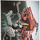 LEGO Rough Terrain Crane Set 8270 Instructions