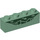 LEGO Zandgroen Steen 1 x 4 met Groen Scales (3010 / 39355)