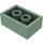 LEGO Sand Green Brick 2 x 3 (3002)