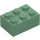 LEGO Verde sabbiato Mattoncino 2 x 3 (3002)