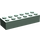 LEGO Zandgroen Steen 2 x 6 (2456 / 44237)