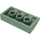 LEGO Zandgroen Helling 2 x 4 Gebogen met buizen aan de onderzijde (88930)