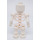 LEGO Skelet met Vlak Hoofd (41731) minifiguur