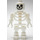 LEGO Skeleton with Rigid Arms, Thin Shoulder Pins, and Classic Smile Safety Stud Head Minifigure