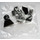 LEGO Star Wars Advent Calendar Set 75056-1 Subset Day 10 - Tie Fighter