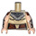 LEGO bronzer Aloy Minifig Torse (973 / 76382)
