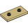 LEGO Tan Plate 2 x 4 with 2 Studs (65509)