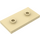 LEGO Tan Plate 2 x 4 with 2 Studs (65509)