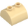 LEGO Tan Slope 2 x 2 Curved with 2 Studs on Top (30165)