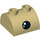 LEGO bronzer Pente 2 x 2 Incurvé avec 2 Goujons sur Haut avec Noir Eye avec blanc Glints (30165 / 38805)