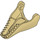 LEGO Tan T-rex Lower Jaw with Tan Teeth (11896 / 98057)