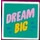 LEGO Tile 1 x 1 with DREAM BIG with Groove (3070)