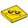 LEGO Tile 2 x 2 with Grumpy Face with Groove (3068 / 65686)