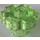 LEGO Transparentes Licht Hellgrün Blume 2 x 2 mit offenem Bolzen (4728 / 30657)