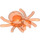 LEGO Transparent Neon Reddish Orange Spider with clip (30238)