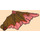LEGO Transparentes Rot Drachen Flügel mit Marbled Pearl Gold (79898)