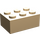 LEGO Heel licht oranje Steen 2 x 3 (3002)