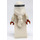 LEGO Vitruvius with Medallion and Black Eyes with Pupils Minifigure