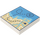 LEGO blanc Tuile 2 x 2 avec Coastline Map et X avec rainure (3068 / 100888)