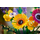 LEGO Wildflower Bouquet Set 10313