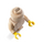 LEGO Wooden Minifigure (5007523)