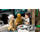 LEGO Yavin 4 Rebel Base 75365