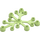 LEGO Gelblich-grün Pflanze Blätter 6 x 5 (2417)